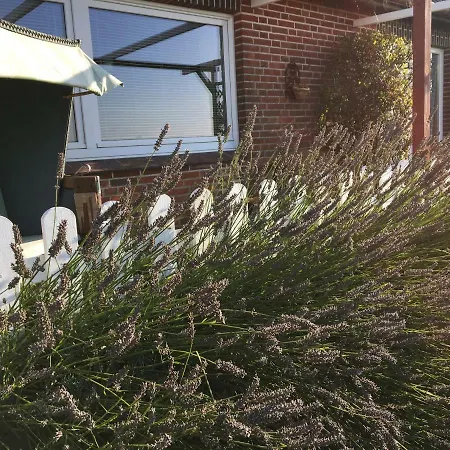 Unser Haus Am Deich Lägenhet